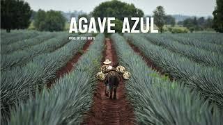 Spanish Guitar Type Beat- "Agave Azul"