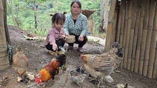 Daily life of a 19-year-old single mother - growing onions and taking care of chickens - ly tieu ca