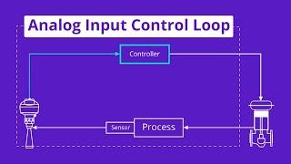 Interpreting Typical Analog Input Control Loop Diagrams