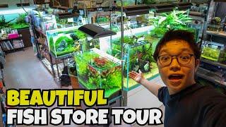 BEAUTIFUL PLANTED FISH STORE TOUR!! Aquarium Shop Color