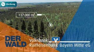 VR Bank Bayern Mitte ist Waldbesitzer