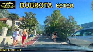 DOBROTA - KOTOR vožnja Promenadom u Julu 2024 - DOBROTA Settlement [Driving Tour in 4K] Crna Gora