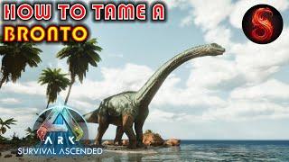 ARK SURVIVAL ASCENDED HOW TO TAME A BRONTOSAURUS
