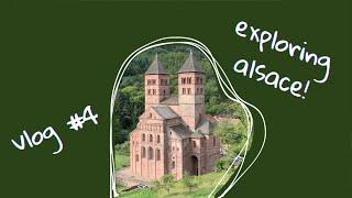 exploring alsace!! wineries, medieval castle ruins, & parks oh my!