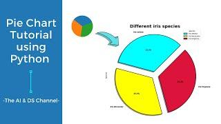 How to visualize Pie-chart using python | Pie chart tutorial