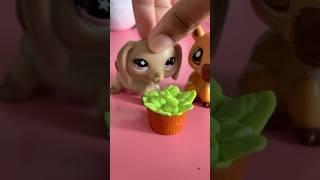 Your eyes are like dirt lps #littlestpetshops #lps #littlestpetshoptoys #viralvideo