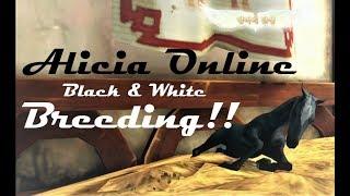 Alicia Online - Black Horse Breeding + Getting Whites!? FAILS