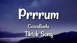 prrrum tiktok song's