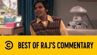 Best of Raj's Commentary | The Big Bang Theory | Comedy Central Africa
