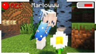 A Wild Marlow Has Been Spotted | Short Documentary