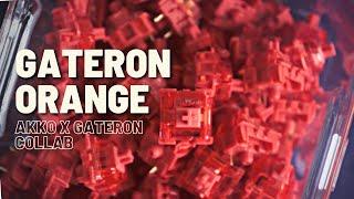 Gateron Orange (Lubed) | Akko x Gateron Collab Switch | Overview and Sound Test