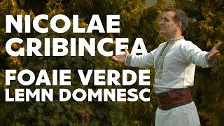 Nicolae Gribincea - Foaie verde lemn domnesc