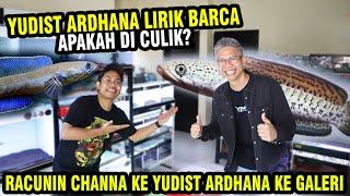 GAWAT! CHANNA BARCA DI LIRIK YUDIST ARDHANA...APA YANG TERJADI?