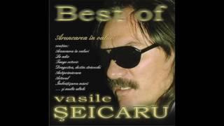 Vasile Şeicaru - Aruncarea în valuri