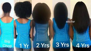 UPDATED | Natural Hair Growth Time Lapse | 4 Yrs Post Big Chop | Asia Char