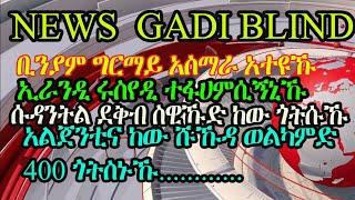 Eritrean Bilen News Gadi Grgu Blinid