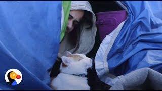 Refugee Cat Helps Refugee Family Start Over | The Dodo