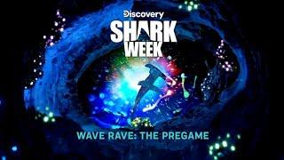 Wave Rave: The Shark Week Pregame [ 40 minute Animated Visualizer ]