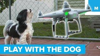 This Drone Will Play With Your Dog