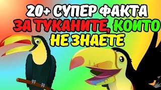 ТОП 20+ СУПЕР факта за ТУКАНИТЕ #toucans #birds #facts