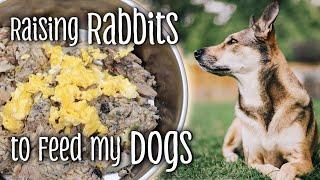 Raising RABBITS to feed my DOGS - NRC Balanced dog food - Feeding dogs naturally