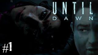 Butterfly's // Until Dawn #1