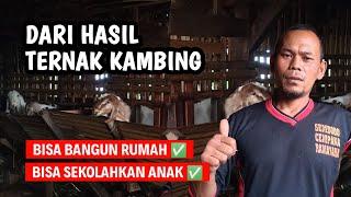 DARI HASIL TERNAK KAMBING BISA BUAT BANGUN RUMAH DAN SEKOLAH ANAK | @AGROTV9