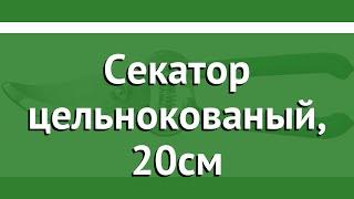 Секатор цельнокованый, 20см (Росток) обзор 423005 бренд Росток производитель Зубр ОВК (Россия)