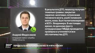 Перебегал в неположенном месте и впал в кому