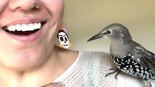 Bird's human whisper talk is scary good