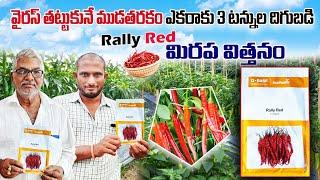 ముడుత మిరపలో 3 టన్నుల దిగుబడి   #BASFNUNHEMS Rally Red