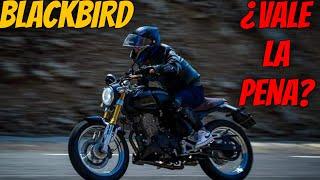 ITALIKA BLACKBIRD RESEÑA HONESTA CON EL DUEÑO ¿Vale la pena? #CafeRacer #Italika blackbird 250 2024