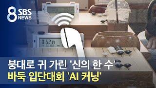 붕대로 귀 가린 '신의 한 수'…바둑 입단대회 'AI 커닝' / SBS