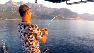 Savage Gear Salt 1DFR Slow Jigging Kamışları ( Yeni Efsane Seri )