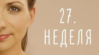 27. неделя беременности