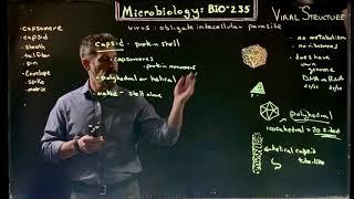 Viral Structure