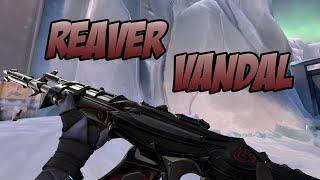 REAVER VANDAL SKIN GAMEPLAY (BLACK) - VALORANT REAVER SKINS