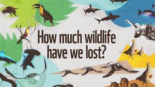 How much wildlife have we lost? #LivingPlanetReport