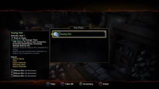 Neverwinter Yeti Companion unlocked