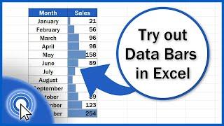 How to use Data Bars in Excel