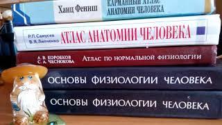 О различиях Клеток. Пластиды и Митохондрии.