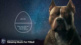 Deep Sleep Music For Dogs Pitbull Calming Music 30 Min Timer