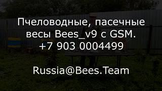 Пасечные весы с GSM. Распаковка комплекта Bees_v9