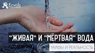 О живой и мёртвой воде, что такое Редокс-потенциал, окислительно восстановительный потенциал или ОВП