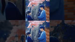 This Cdrama couple is really Cute| Shining For One Thing| Cdrama ️