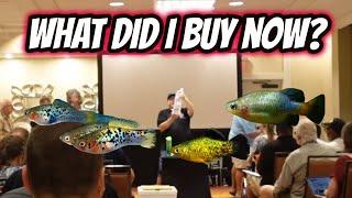 You Haven't Seen These Fish Before!  What I bought at the Triple Crown!