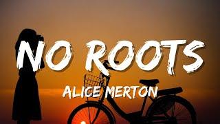 Alice Merton- No Roots (Lyrics) | Tiktok Song | A thousand times | I've got no roots |