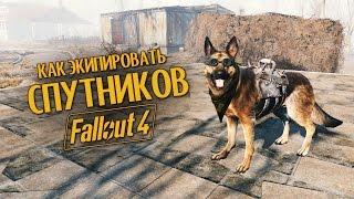 Руководство Fallout 4: Как экипировать спутников