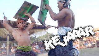 Cikar Rarat Terus Kejar Banteng Hitam, Tapi Akhirnya ... || Peresean Lombok