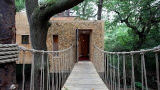 Inside The Luxury $200,000 Treehouse